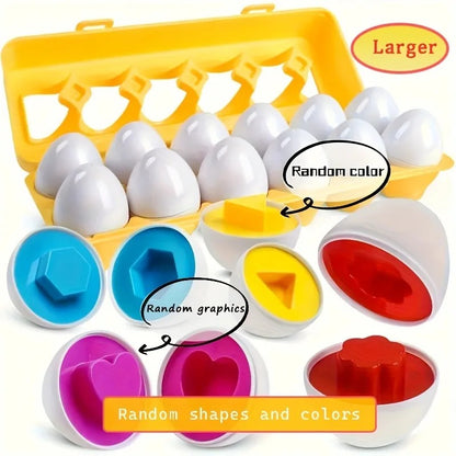 WonderKids Color Sorter